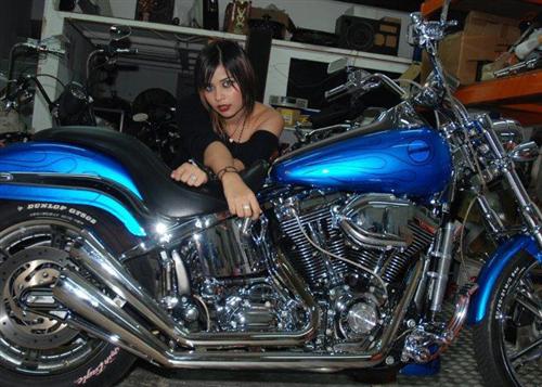 Marilyn's friend hiding out in the workshop on Klaus Ludwig's Softail Deuce Custom.
