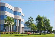 Business Building