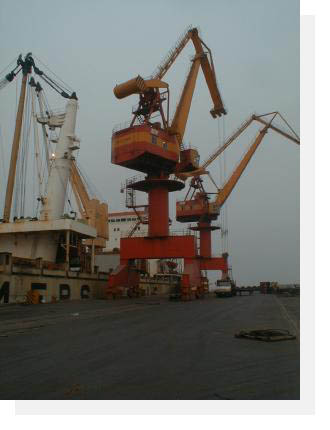 cranes