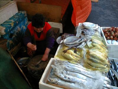 masfishcut