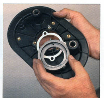 orings gasket backing plate