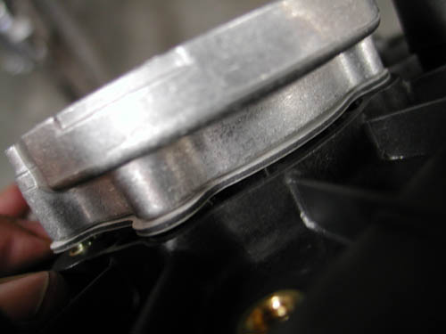 orings gasket backing plate
