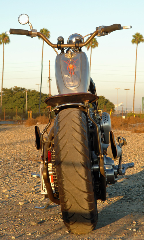 STurgis rear