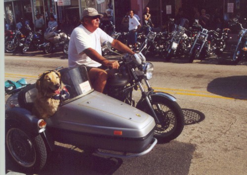 sidecar bike