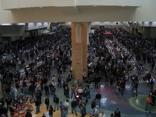 crowd shot 2