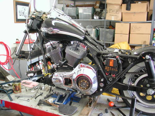 stripped king 39