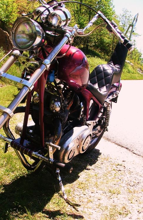 norton front shot