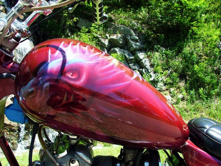 norton tank