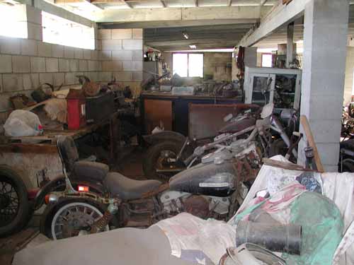row of bikes at tigers