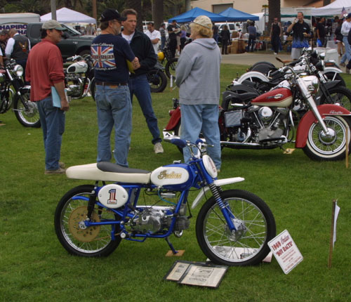 blue white mini indian