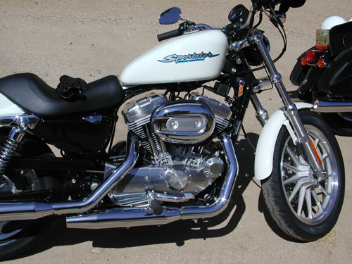 white 883