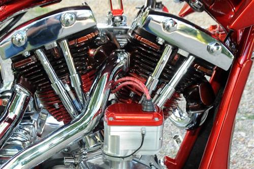 modified-front-head-01-150