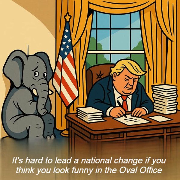 Confidence by Amy Irene White